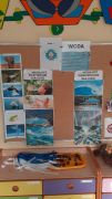 projekt edukacyjny EKOprzygoda z żywiołkami - woda